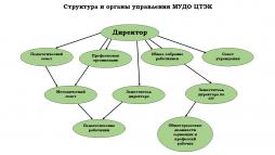 Структура и органы управления МУДО ЦТЭК